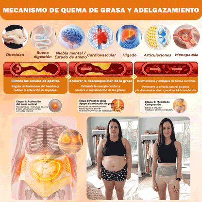 模板图版𝐏𝐀𝐔𝐑𝐀𝐉𝐔® 𝐌𝐨𝐫𝐢𝐧𝐠𝐚 𝐘 𝐁𝐞𝐫𝐛𝐞𝐫𝐢𝐧𝐚 𝐓𝐨𝐝𝐨 𝐄𝐧 𝐔𝐧𝐨 𝐏𝐚𝐧𝐭𝐚𝐥𝐨𝐧𝐞𝐬 𝐂𝐨𝐫𝐭𝐨𝐬 𝐐𝐮𝐞𝐦𝐚-𝐆𝐫𝐚𝐬𝐚𝐬 𝐃𝐞 𝐌𝐢𝐜𝐫𝐨𝐩𝐚𝐫𝐭í𝐜𝐮𝐥𝐚𝐬✅Activa la microcirculación profunda para disolver la grasa, eliminar toxinas y revertir el envejecimiento metabólico.（墨西哥）